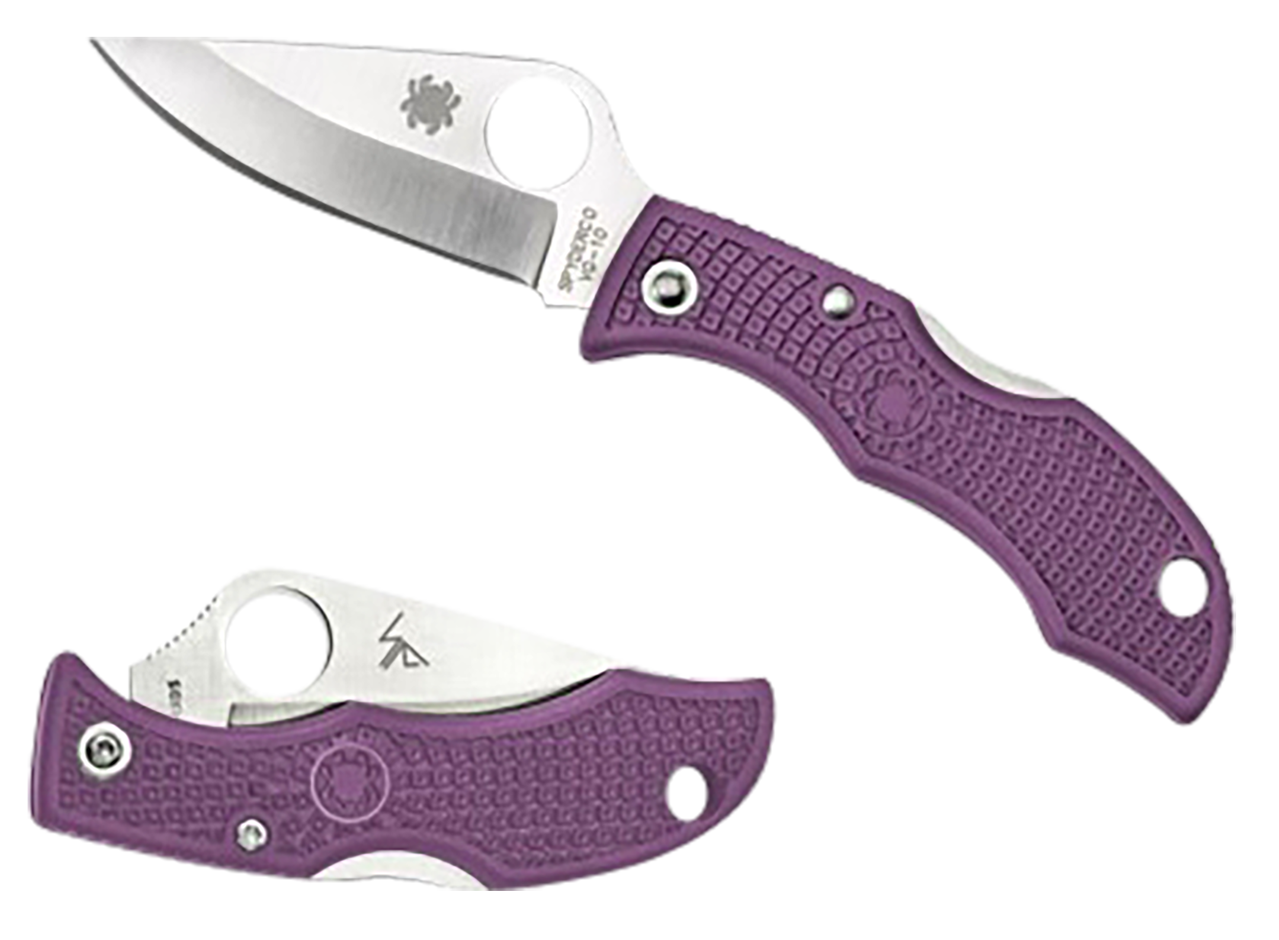 Ladybug 3 Salt 1.94" Plain Blade Folding Knife - Purple